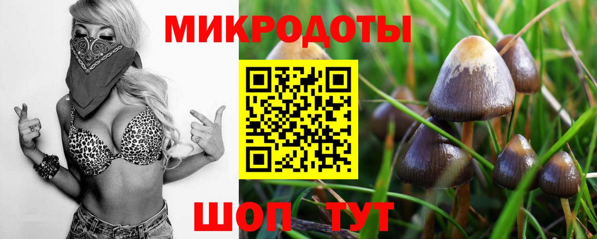 Псилоцибиновые грибы Magic Shrooms  Псилоцибиновые грибы GOLDEN TEACHER  Миллерово  Вход с VPN 