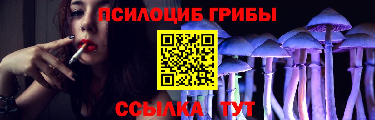 Псилоцибиновые грибы Cubensis Миллерово